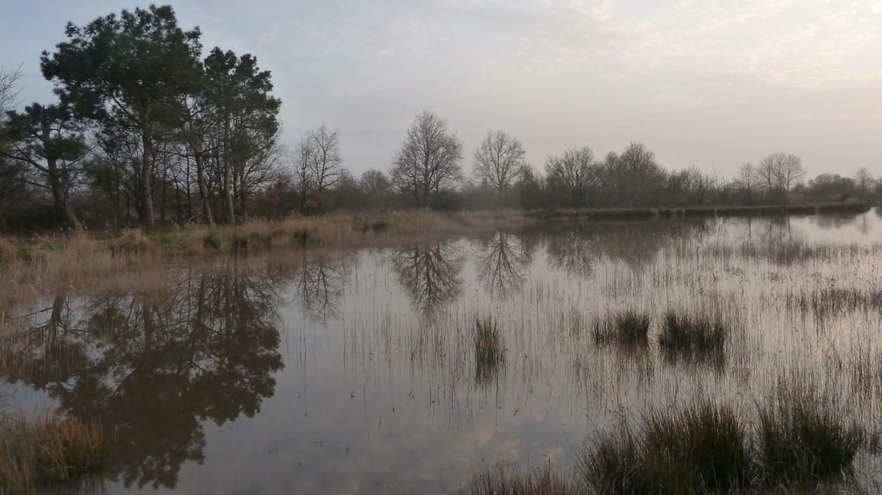Gite Des Etangs Paulnay Kültér fotó
