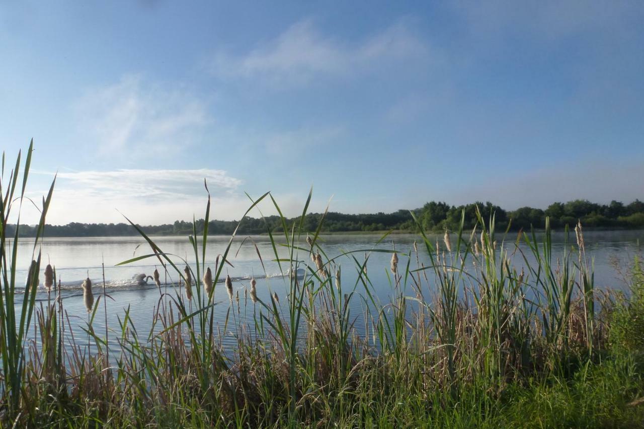Gite Des Etangs Paulnay Kültér fotó
