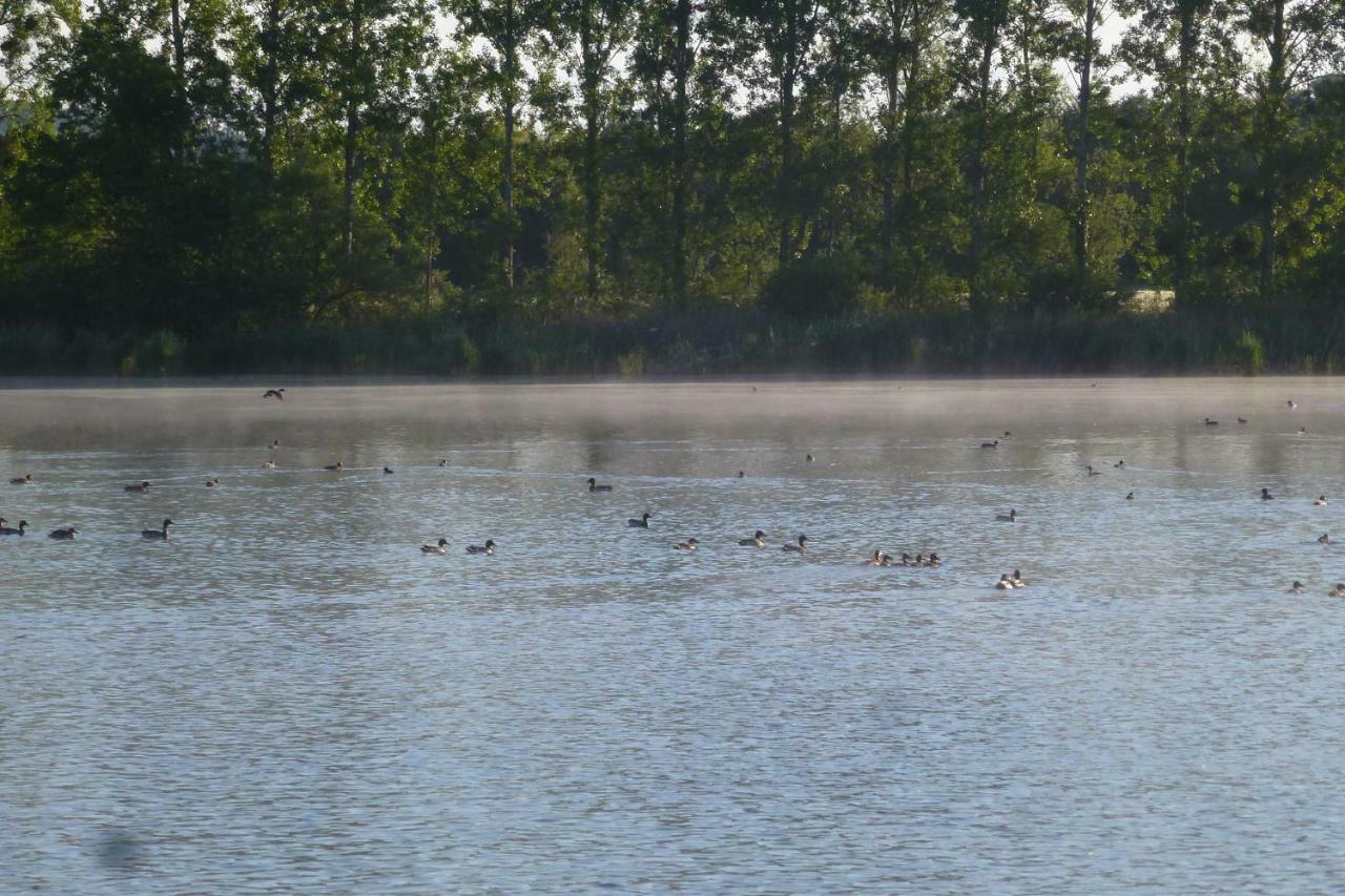 Gite Des Etangs Paulnay Kültér fotó
